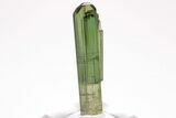 Gemmy, Sharply Terminated Green Tourmaline Crystal - Brazil #206254-4